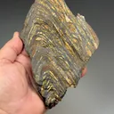 Quartz with Hematite (Tiger Iron) - image 2