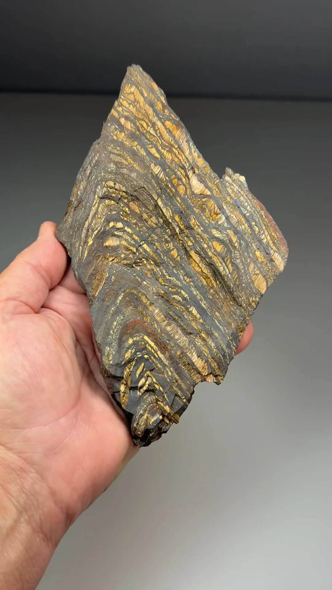 Quartz with Hematite (Tiger Iron) - image 2