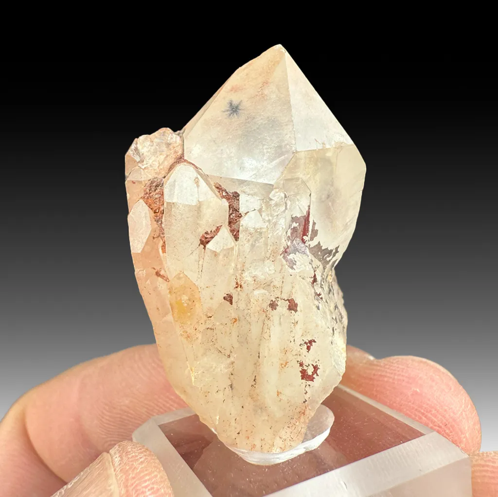 Quartz with Hollandite (1923 a) image