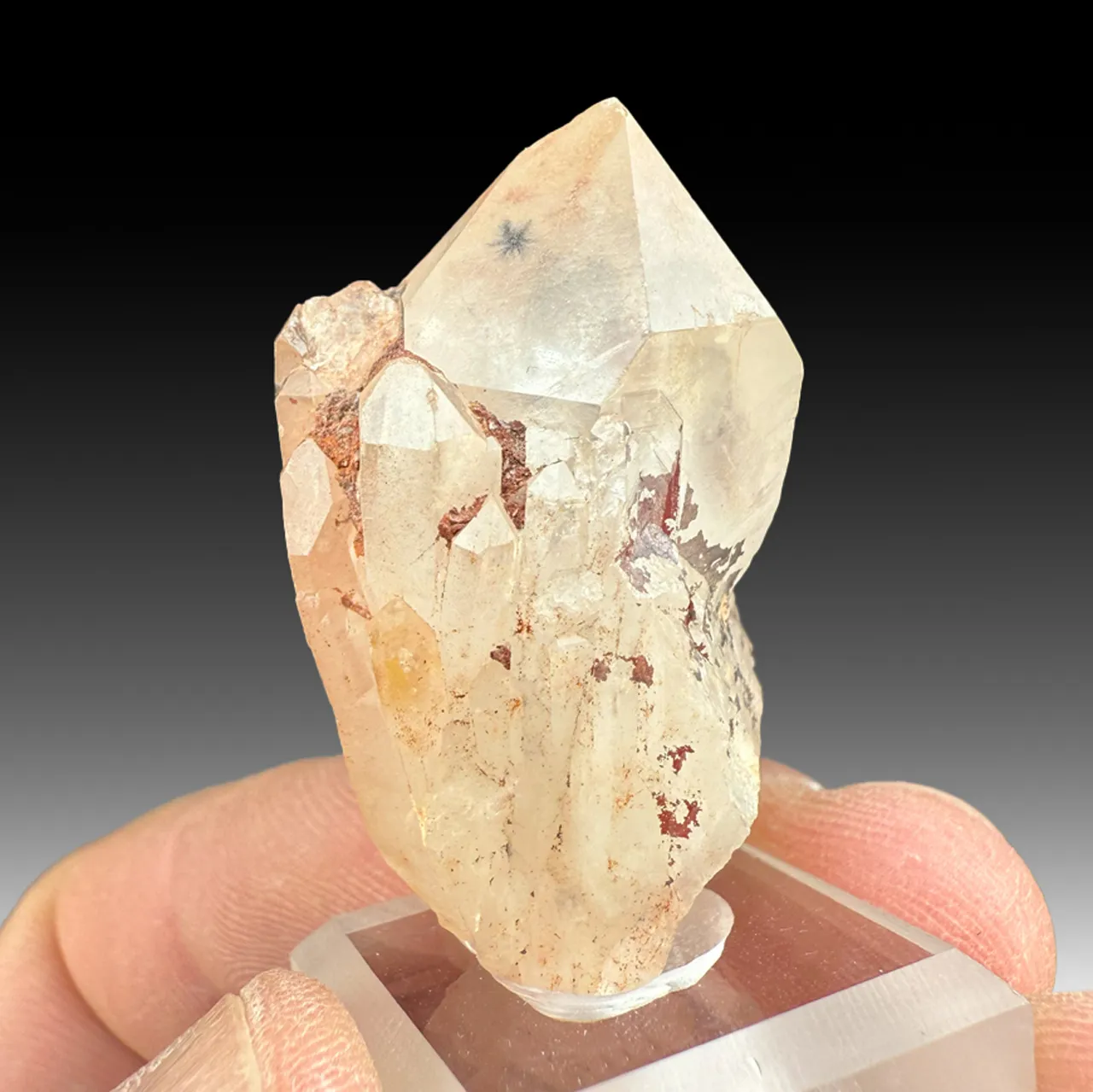 Quartz with Hollandite (1923 a) - image 1