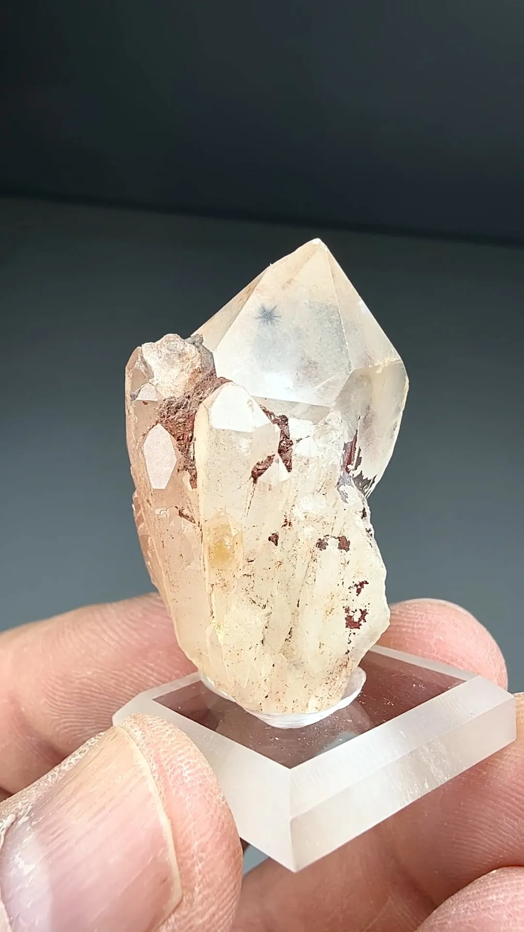 Quartz with Hollandite (1923 a) - image 2