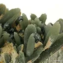 Quartz With Included Hedenbergite and Hematite - image 3