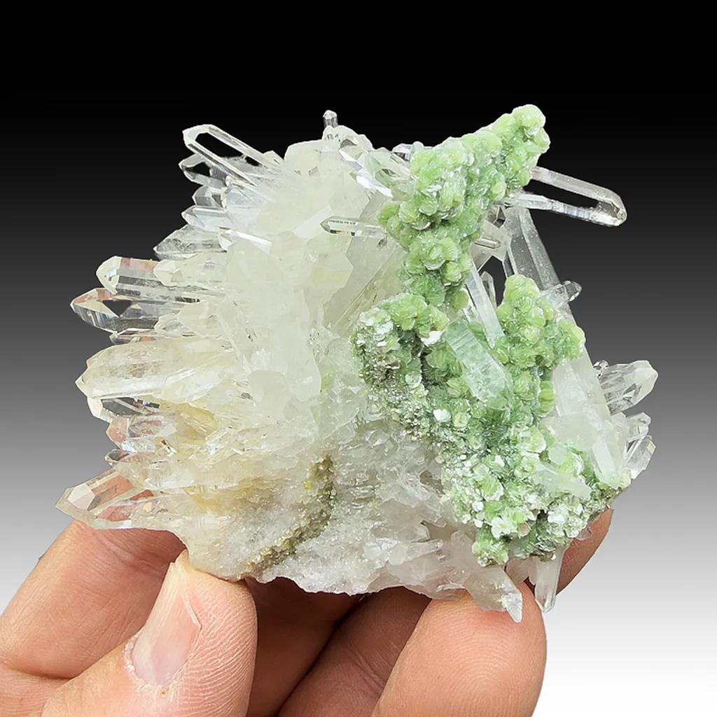 Quartz with Muscovite image