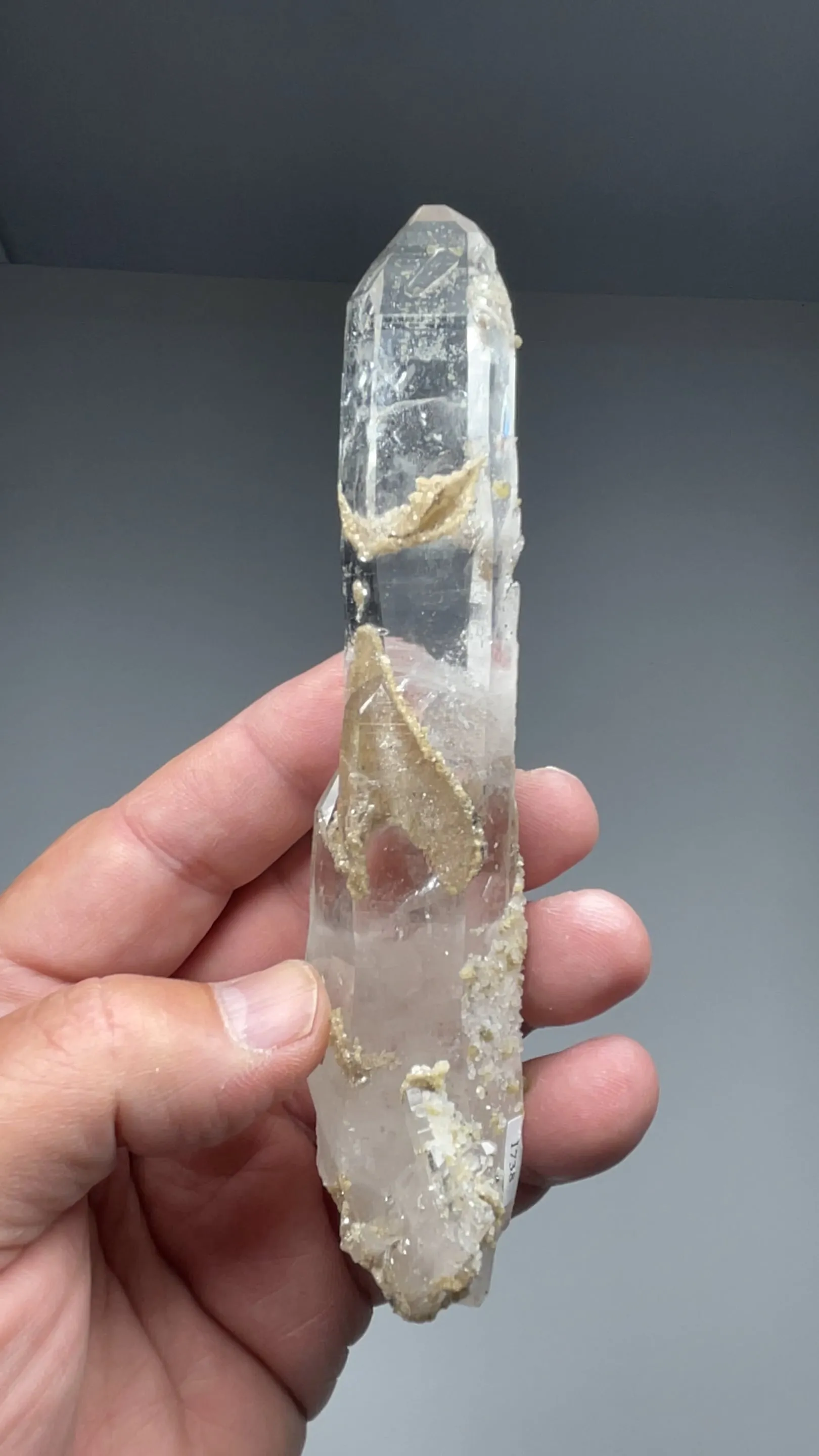 Quartz with Muscovite - image 2