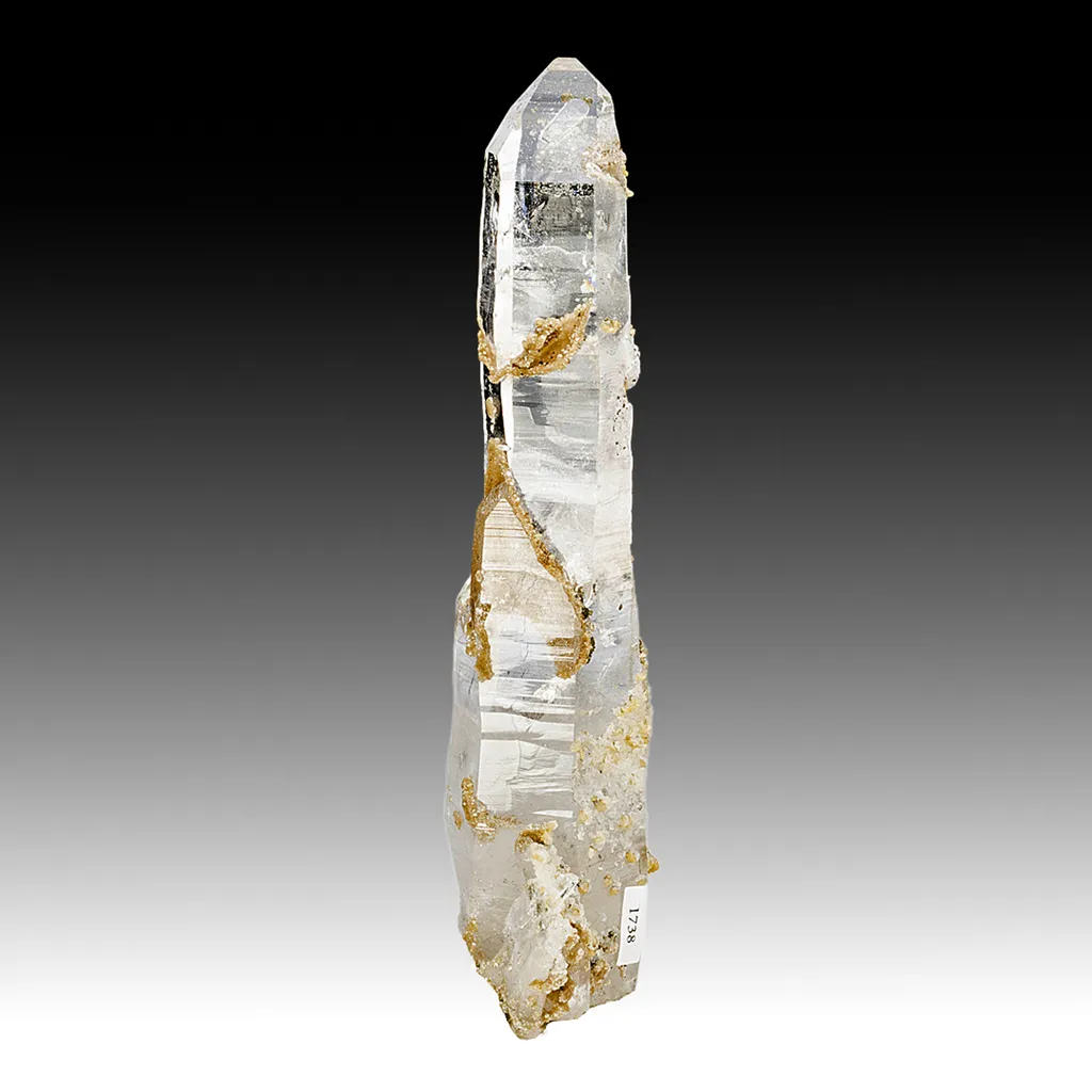 Quartz with Muscovite image