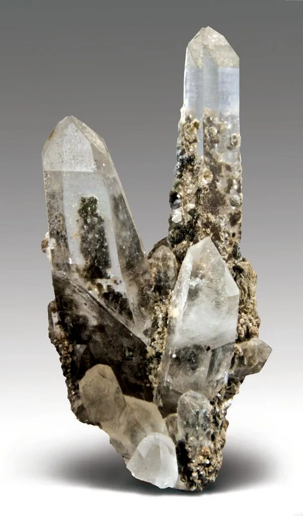 Quartz with Muscovite image