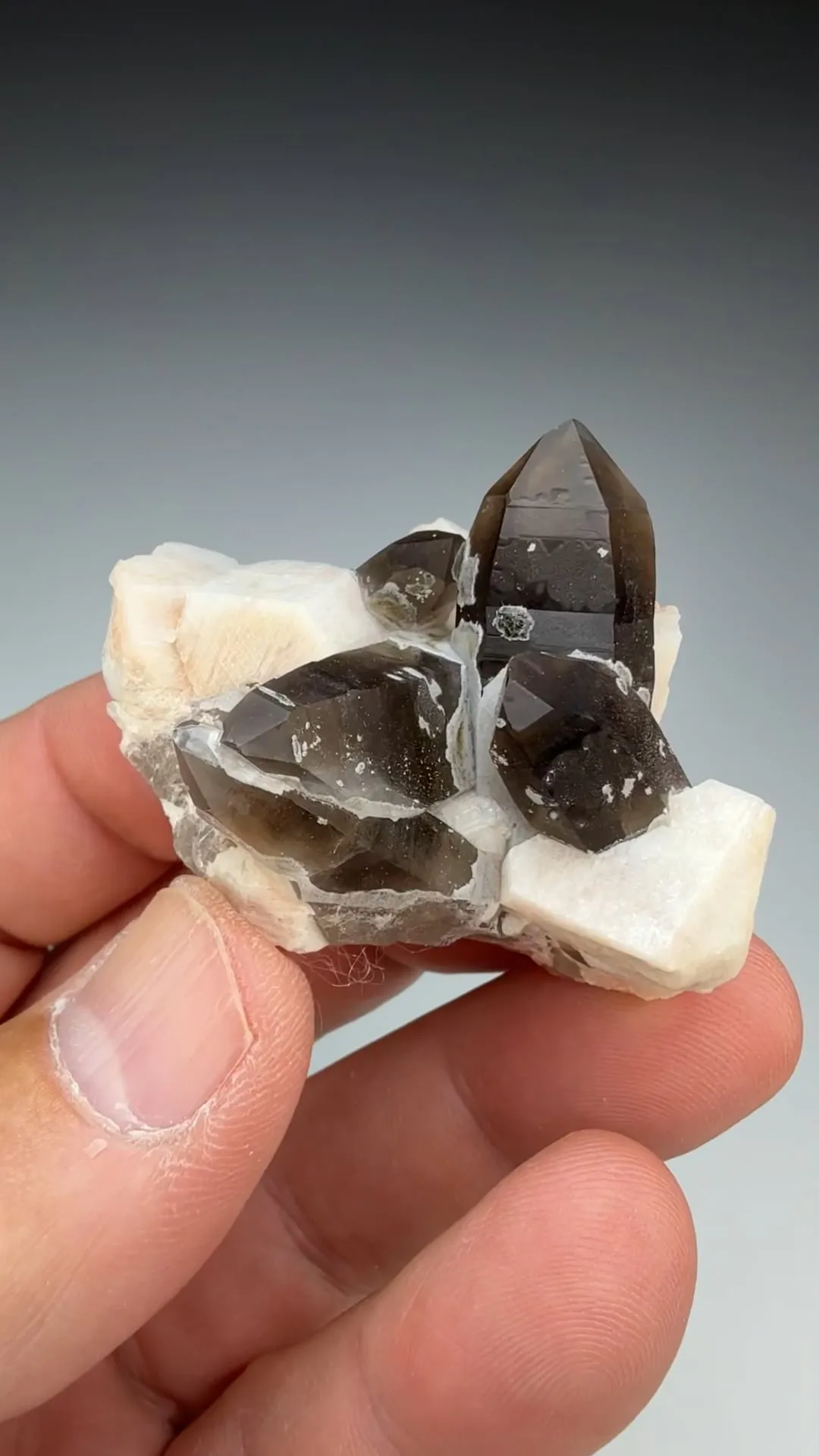 Quartz with Orthoclase - image 2