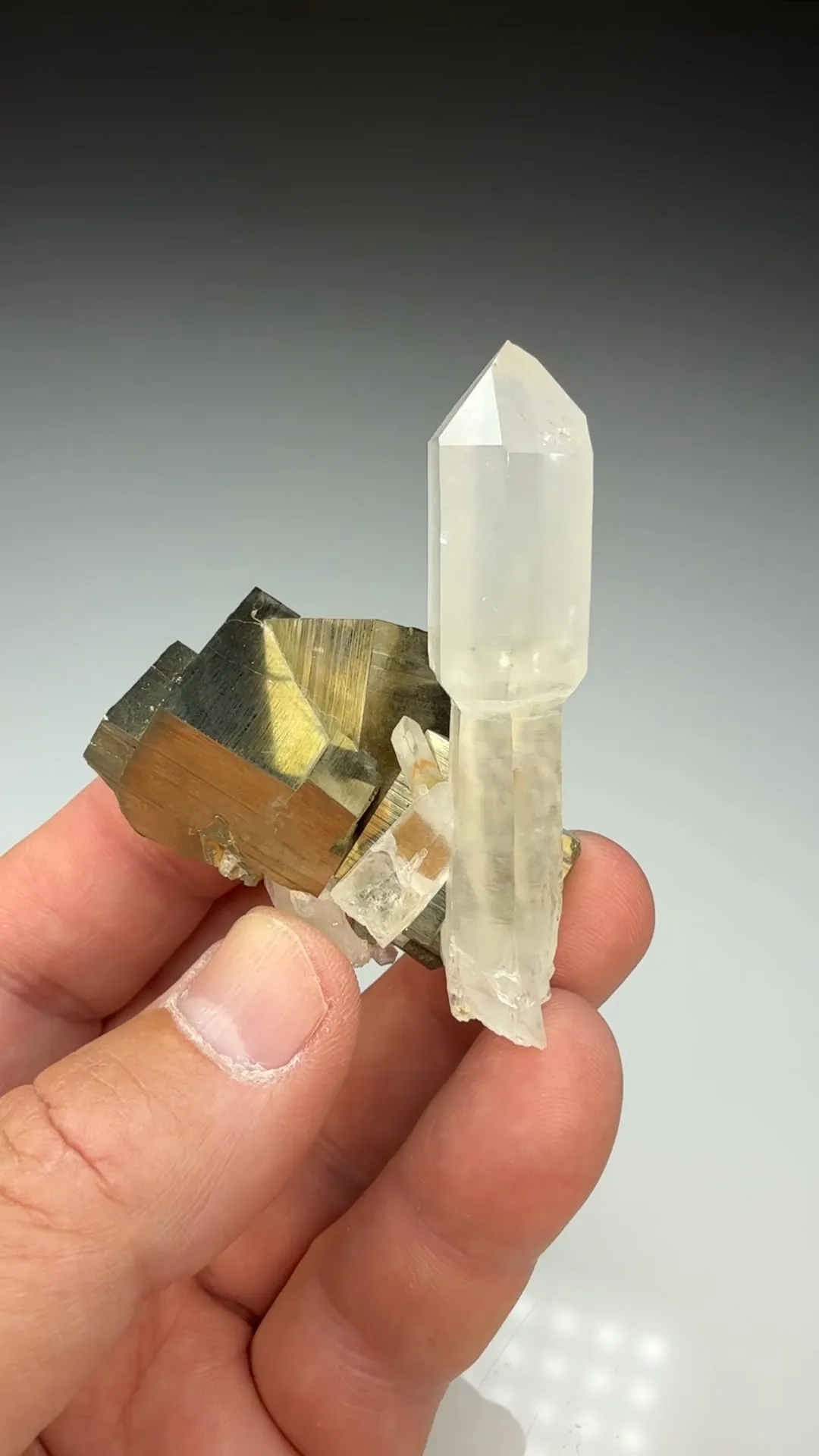 Quartz with Pyrite (1623) - image 2