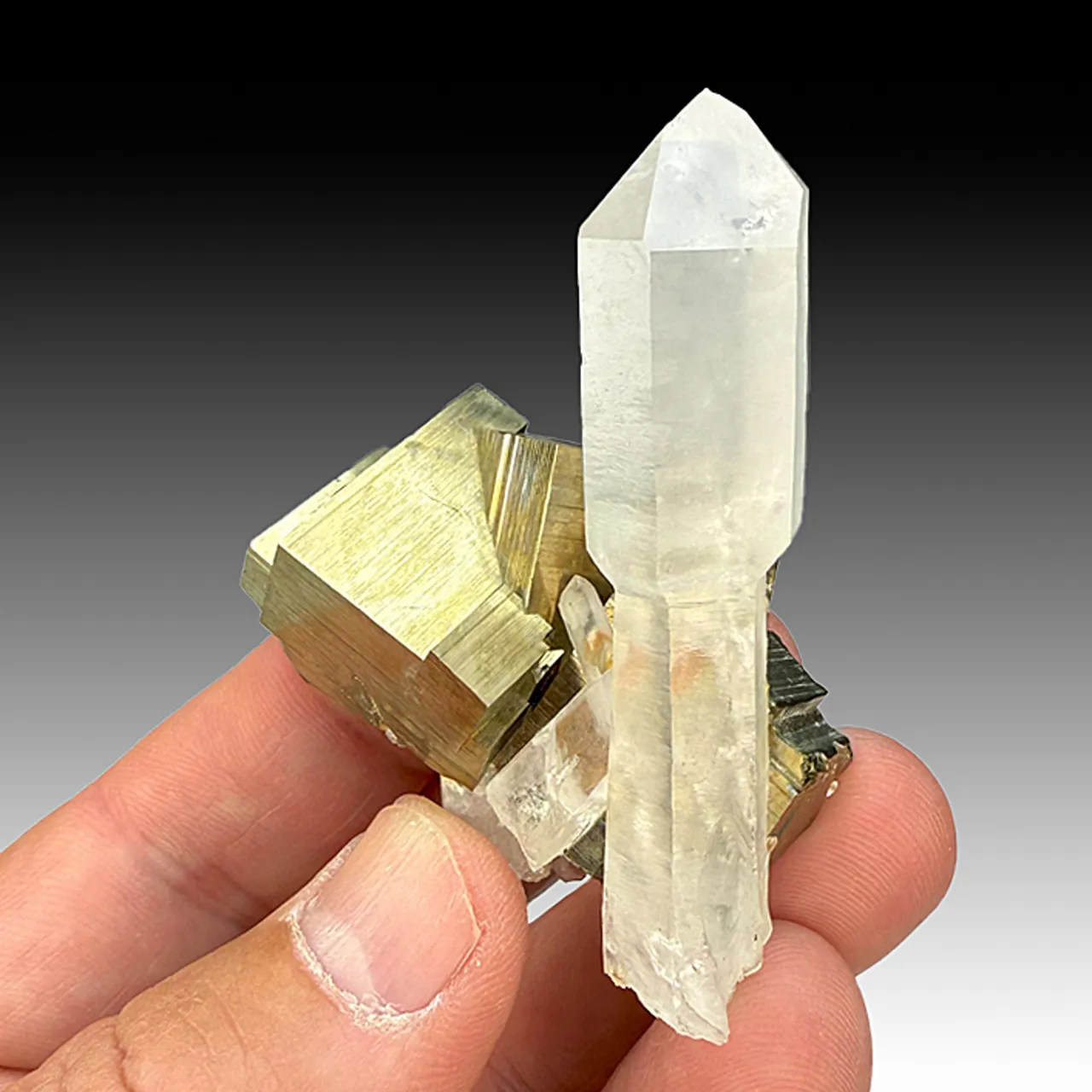 Quartz with Pyrite (1623) - image 1