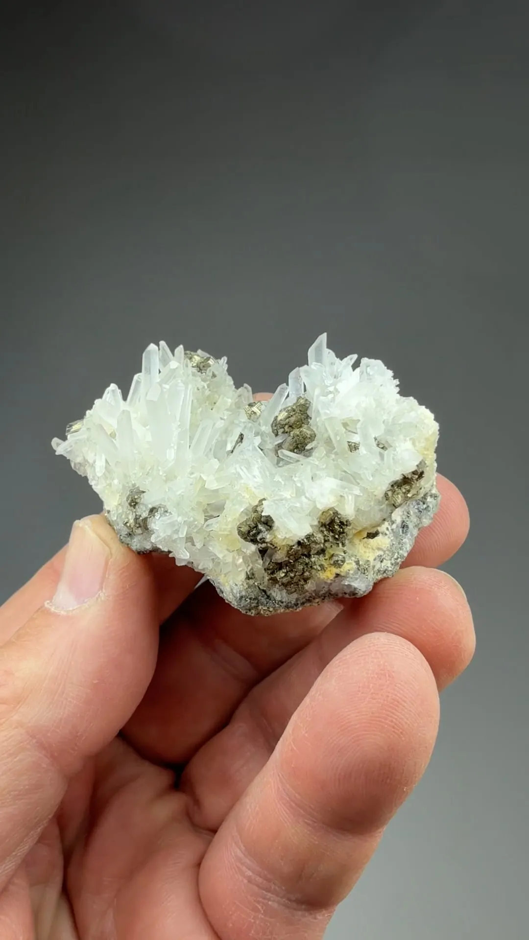 Quartz with Pyrite - image 2