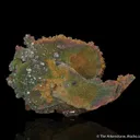 Quartz with Pyrite - image 1