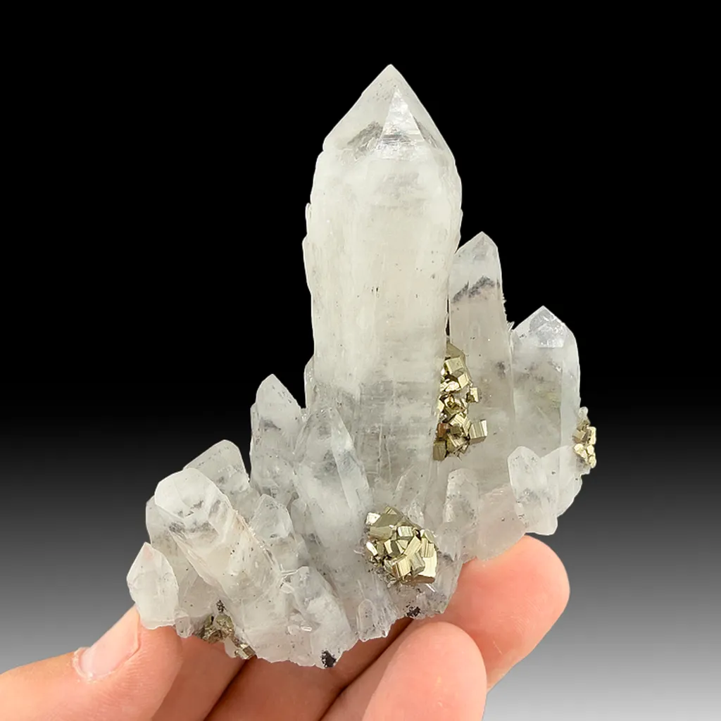 Quartz with Pyrite image