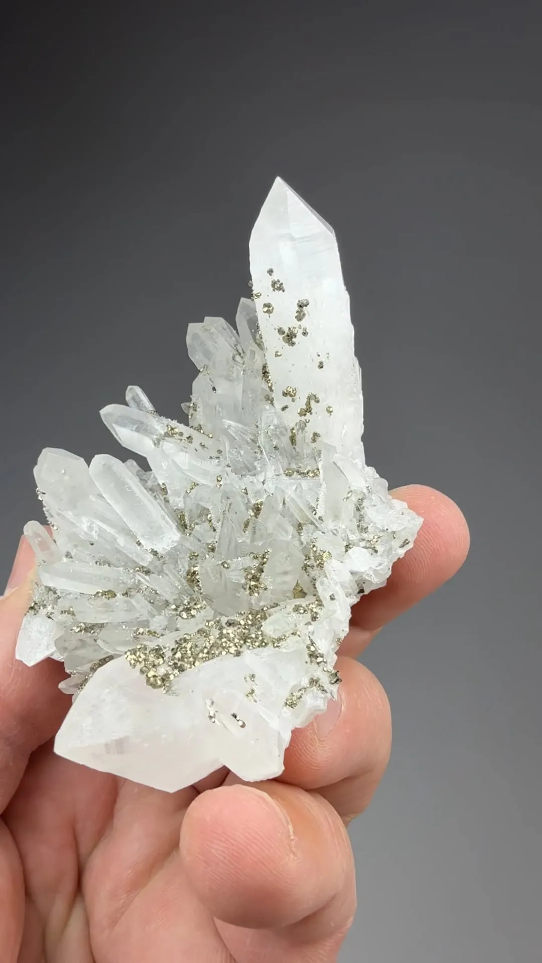 Quartz with Pyrite - image 2