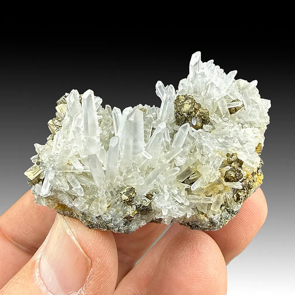 Quartz with Pyrite image