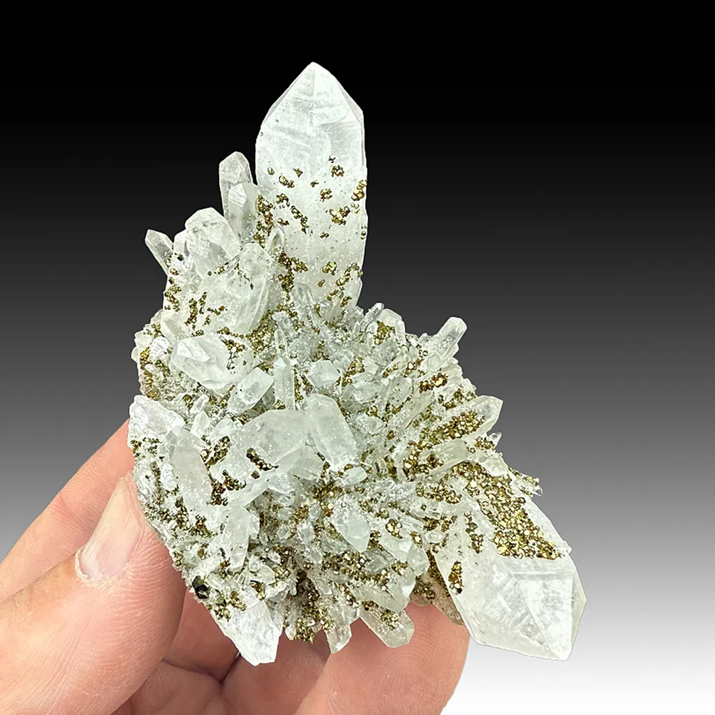 Quartz with Pyrite image