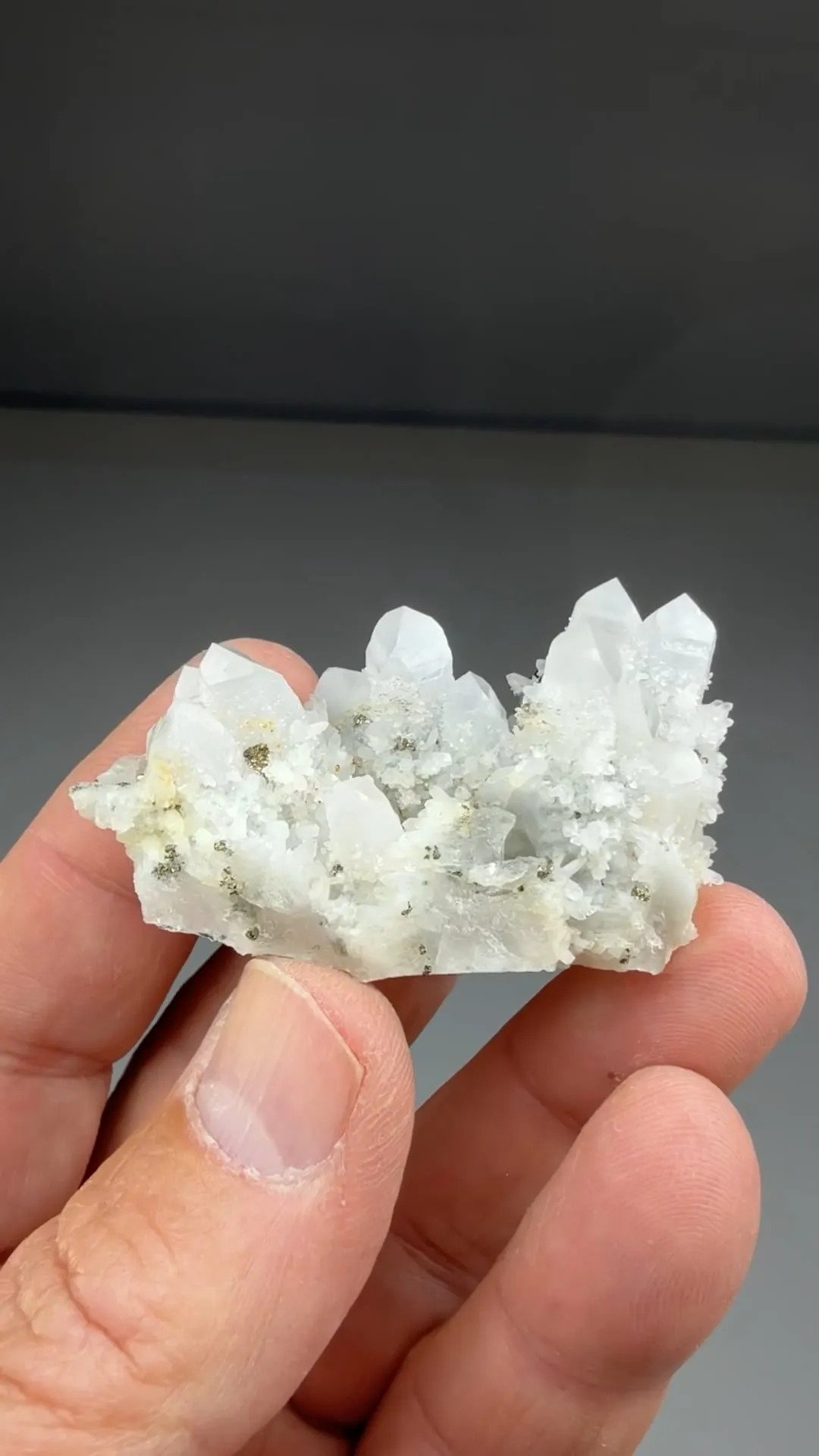 Quartz with Pyrite - image 2