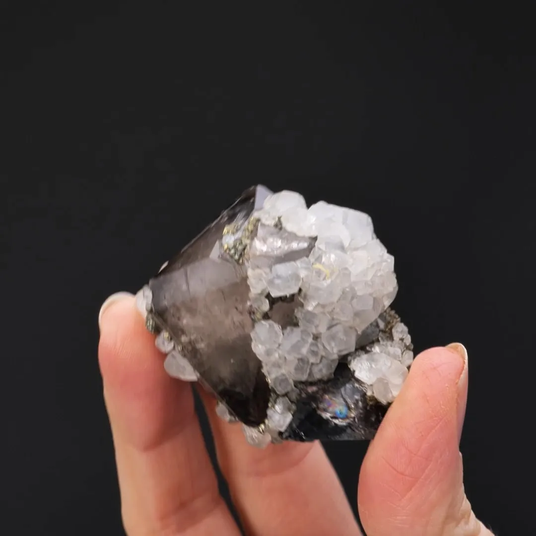 Quartz with Pyrite on Hematite - image 2