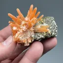 Quartz with Pyrite on Hisingerite after Ilvaite - image 2