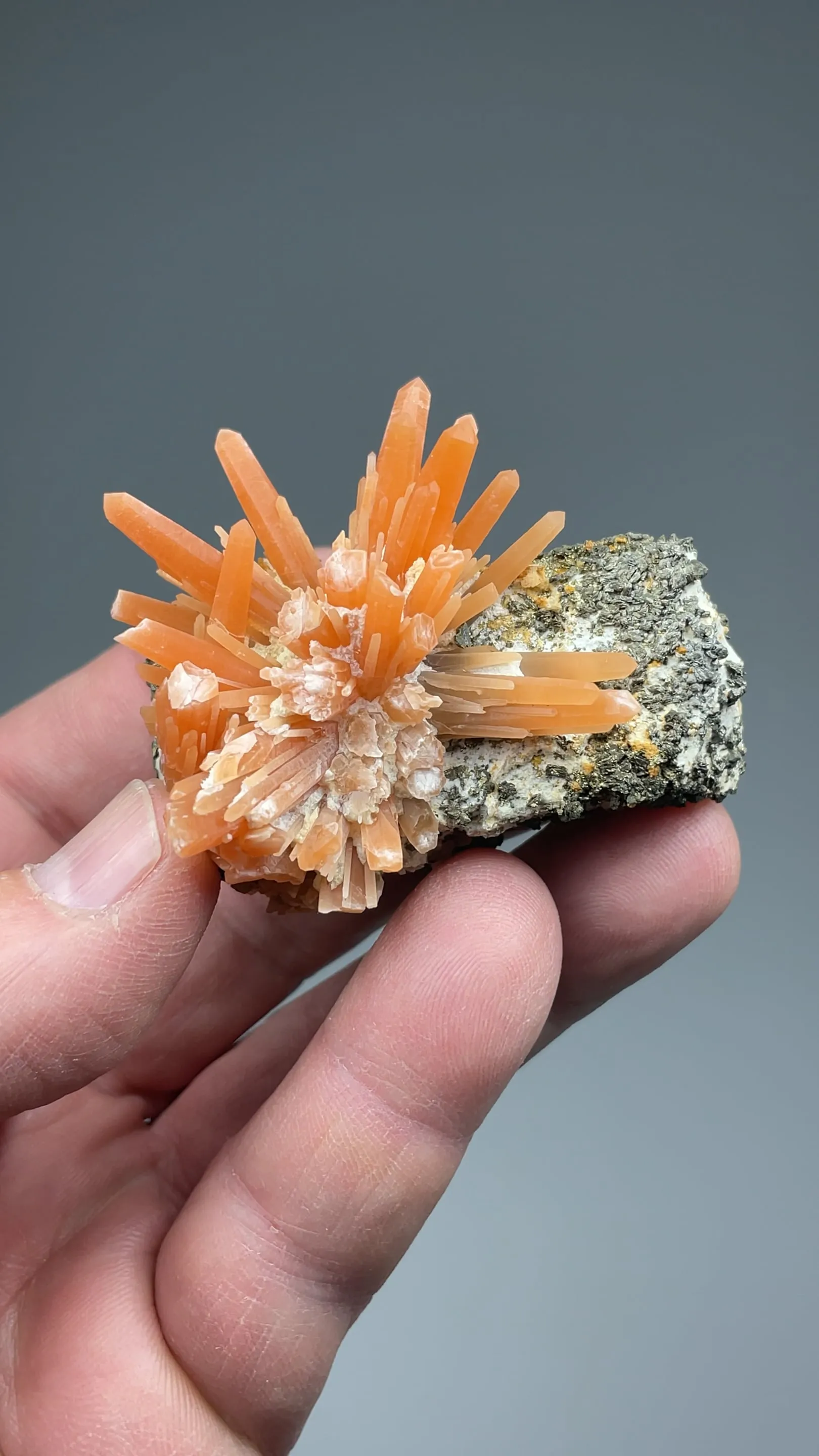 Quartz with Pyrite on Hisingerite after Ilvaite - image 2