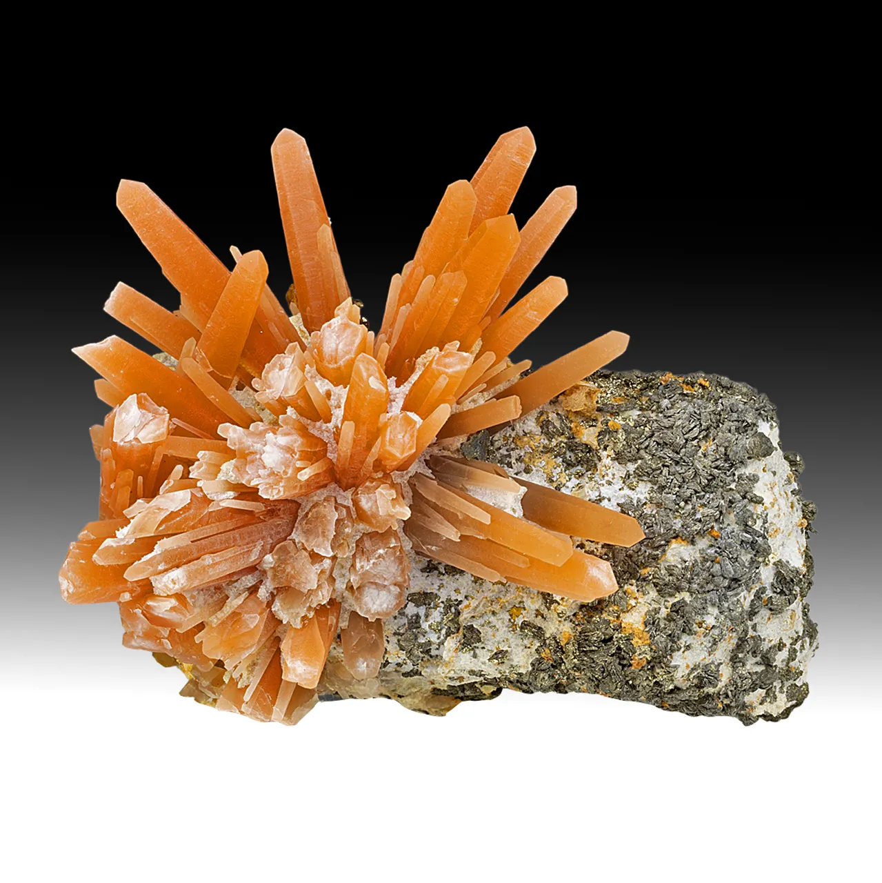 Quartz with Pyrite on Hisingerite after Ilvaite - image 1