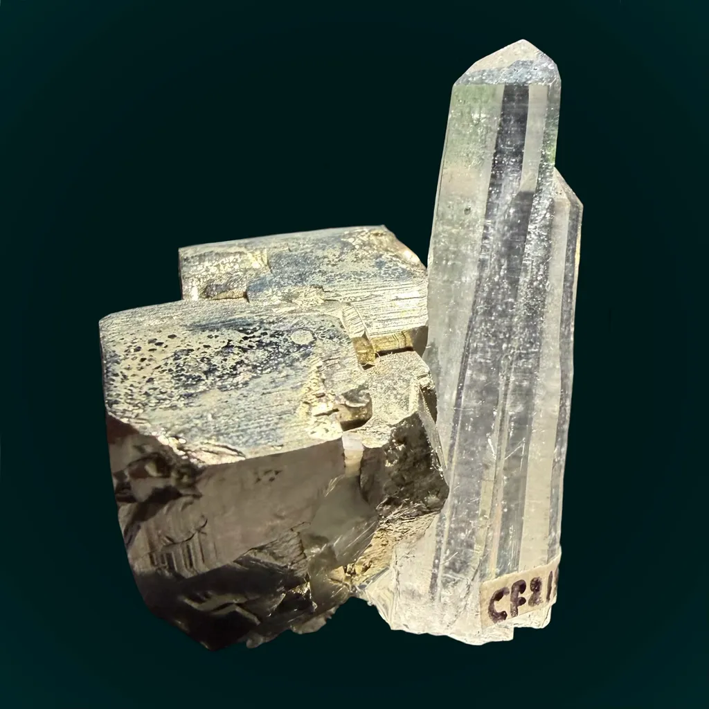 Quartz with Pyrite - Spruce Ridge image