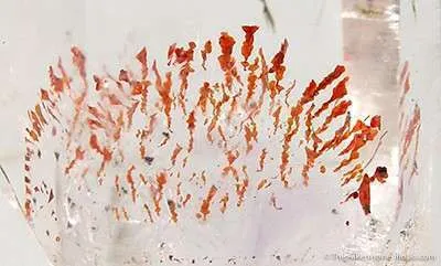 Quartz With Red Hematite Inclusions - image 2