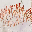 Quartz With Red Hematite Inclusions - image 2