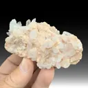 Quartz with Rhodochrosite - image 1