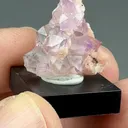 Quartz with Rhodochrosite - image 2