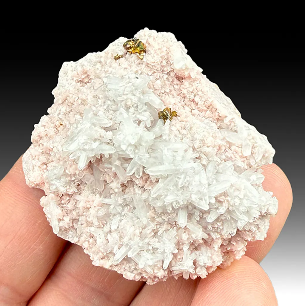 Quartz with Rhodochrosite, Chalcopyrite image