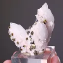 Quartz with Rhodochrosite Sphalerite and Chalcopyrite - image 2