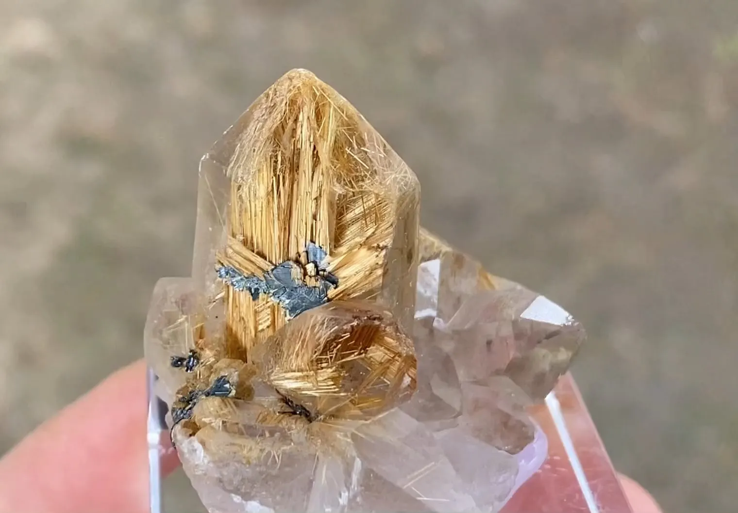 Quartz with Rutile and Hematite - image 5