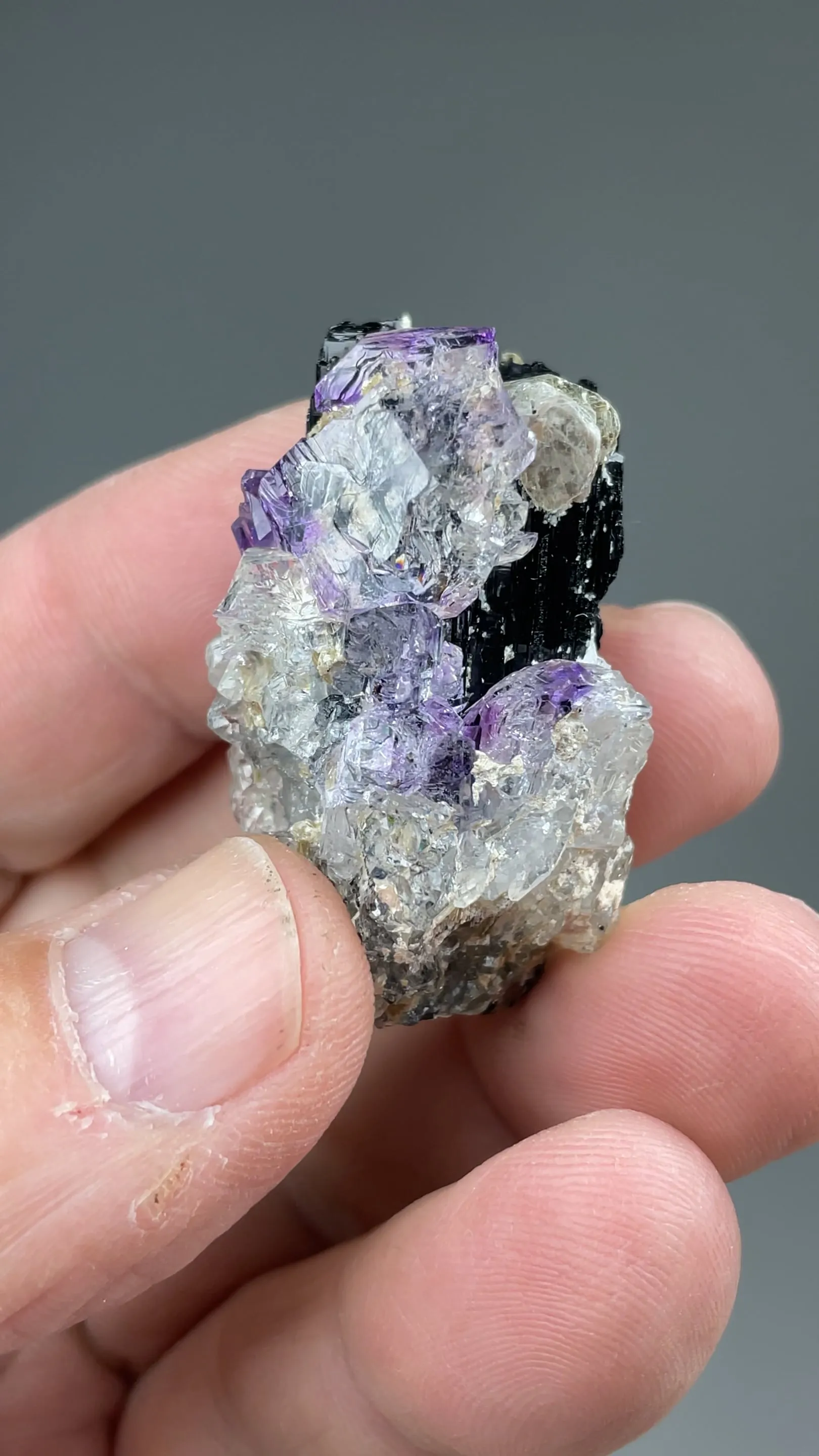 Quartz with Schorl, Muscovite - image 2