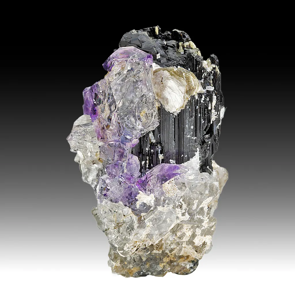 Quartz with Schorl, Muscovite image