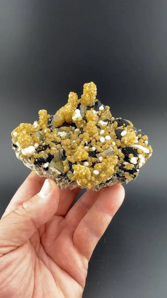 Quartz with Siderite, Chalcopyrite, Pyrite image