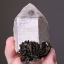 Quartz with "Zinnwaldite" - image 2