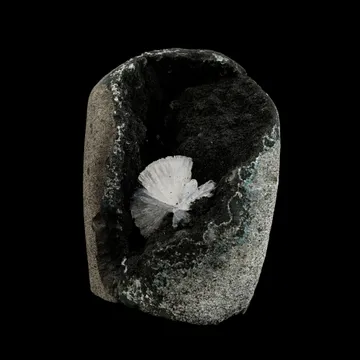 Radial Epi-Stilbite with Julgoldite, Two Rare Minerals in One Natural Mineral Specimen