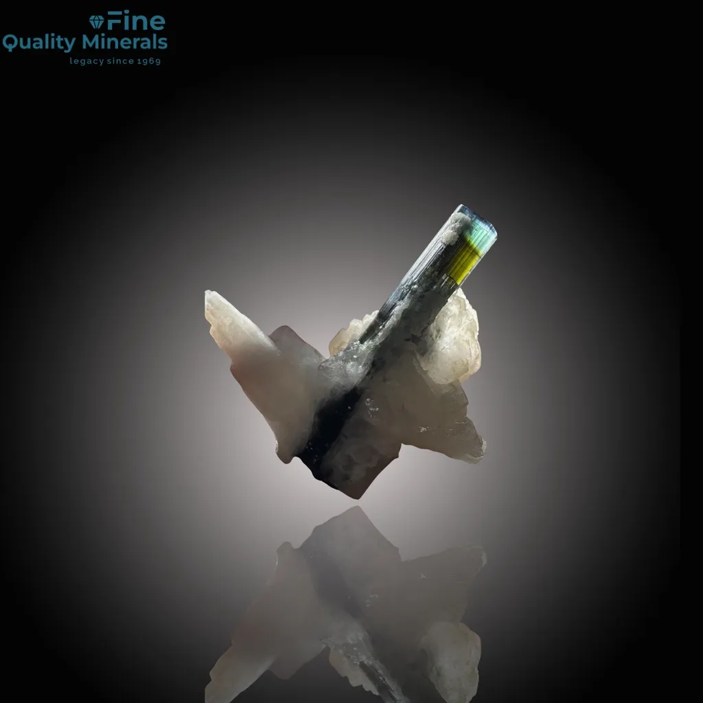 Radiant Bi-Color Tourmaline – A Dazzling Treasure from Skardu’s Depths image