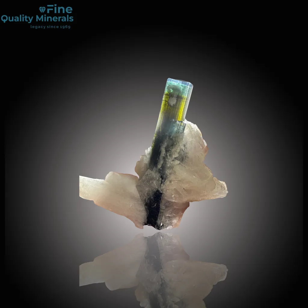 Radiant Bi-Color Tourmaline – A Dazzling Treasure from Skardu’s Depths - image 2