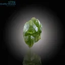 Radiant Peridot Featuring Rare Ludwigite Inclusions - image 4