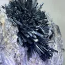 Radiant Spray‑Shaped Stibnite Cluster on Purple Fluorite Matrix, Xikuangshan Mine, Hunan, China - image 5