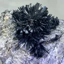 Radiant Spray‑Shaped Stibnite Cluster on Purple Fluorite Matrix, Xikuangshan Mine, Hunan, China - image 2
