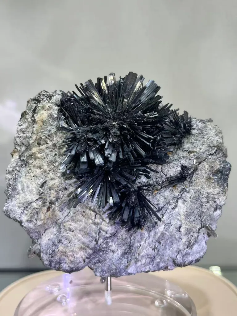 Radiant Spray‑Shaped Stibnite Cluster on Purple Fluorite Matrix, Xikuangshan Mine, Hunan, China image