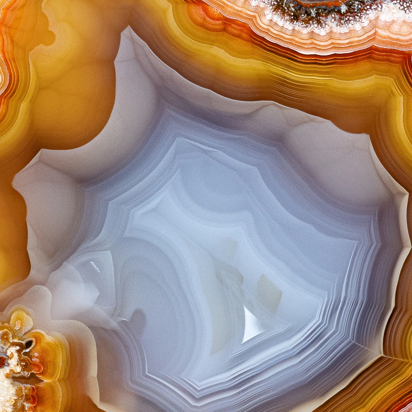Rainbow Laguna agate from Mexico - image 5