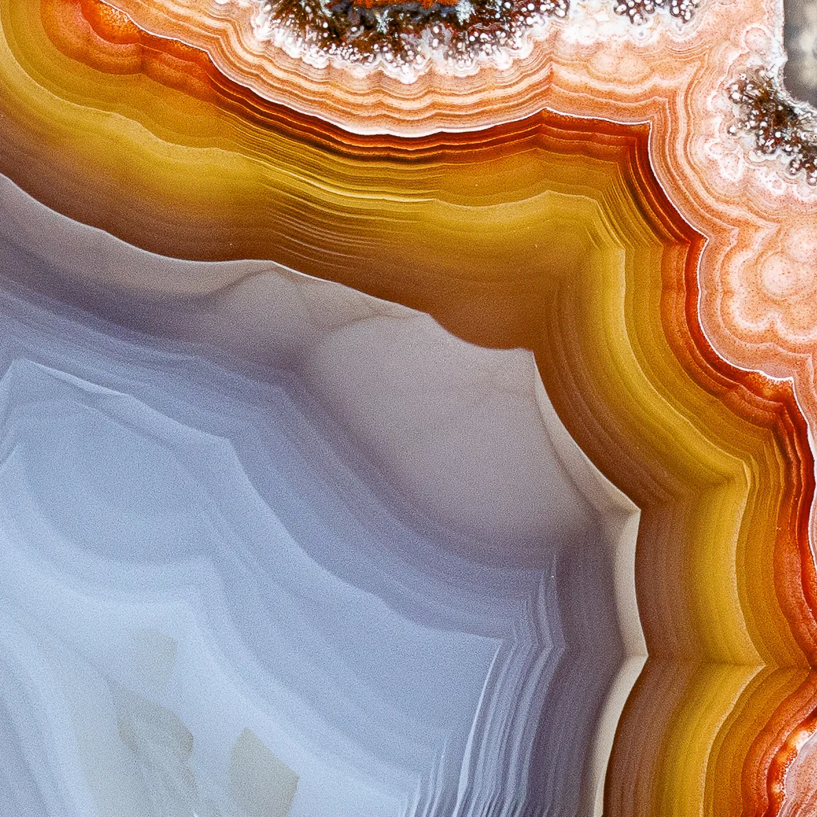 Rainbow Laguna agate from Mexico - image 4