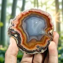 Rainbow Laguna agate from Mexico - image 3