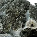 Rammelsbergite - image 2