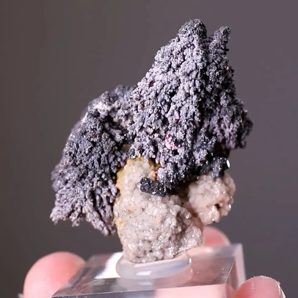 Rammelsbergite with Erythrite and Stephanite - image 2