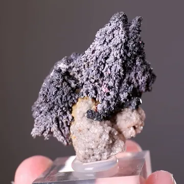 Rammelsbergite with Erythrite and Stephanite
