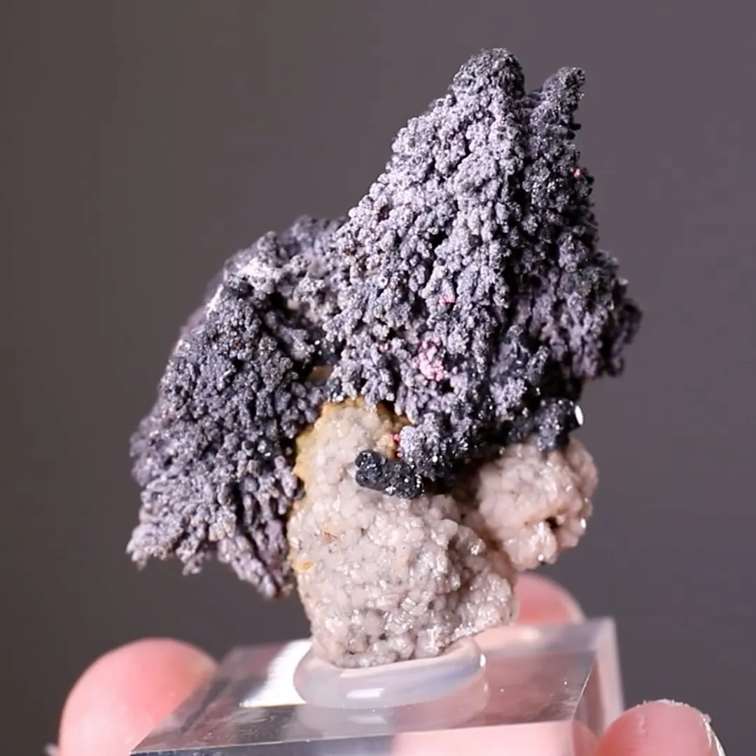 Rammelsbergite with Erythrite and Stephanite - image 2